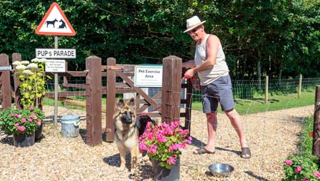 dog friendly caravan park in Somerset, on-site dog walk